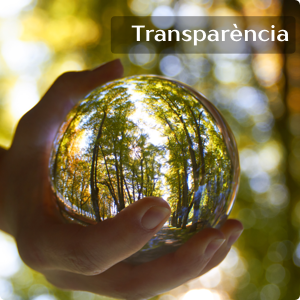 Banner Transparencia2